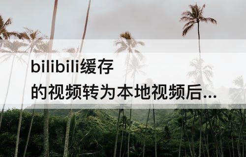 bilibili缓存的视频转为本地视频后没有声音了