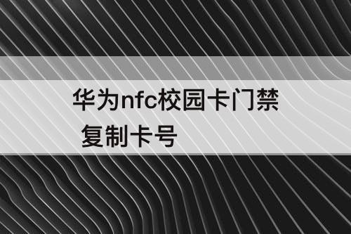 华为nfc校园卡门禁 复制卡号