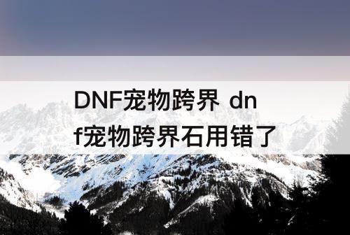 DNF宠物跨界 dnf宠物跨界石用错了