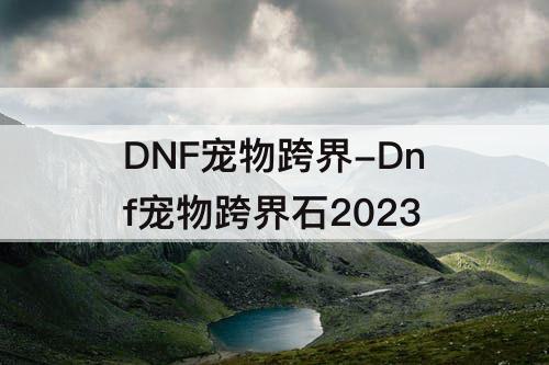 DNF宠物跨界-Dnf宠物跨界石2023