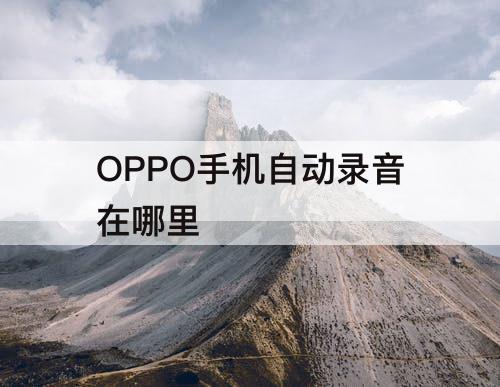 OPPO手机自动录音在哪里