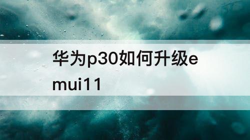 华为p30如何升级emui11