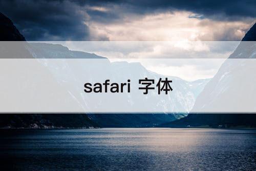 safari 字体