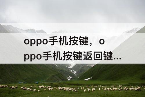 oppo手机按键，oppo手机按键返回键怎么调出来