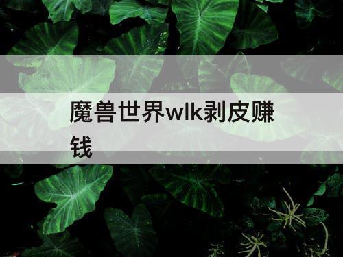 魔兽世界wlk剥皮赚钱