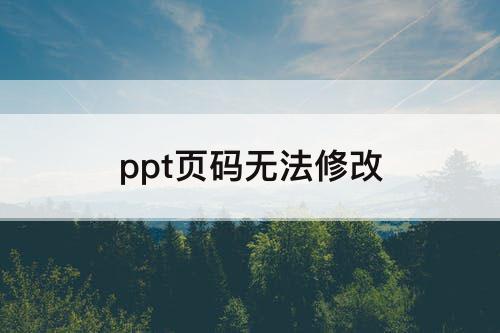 ppt页码无法修改