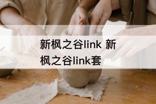 新枫之谷link 新枫之谷link套