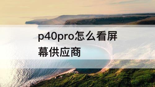 p40pro怎么看屏幕供应商