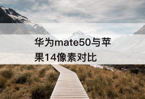 华为mate50与苹果14像素对比