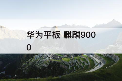 华为平板 麒麟9000