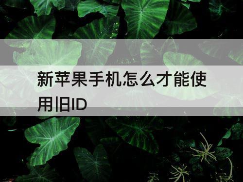 新苹果手机怎么才能使用旧ID