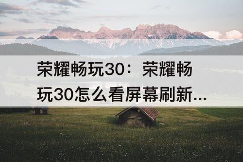 荣耀畅玩30：荣耀畅玩30怎么看屏幕刷新率