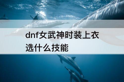 dnf女武神时装上衣选什么技能