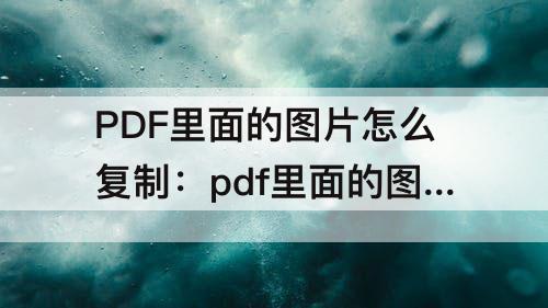 PDF里面的图片怎么复制：pdf里面的图片怎么复制到word