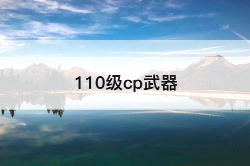 110级cp武器