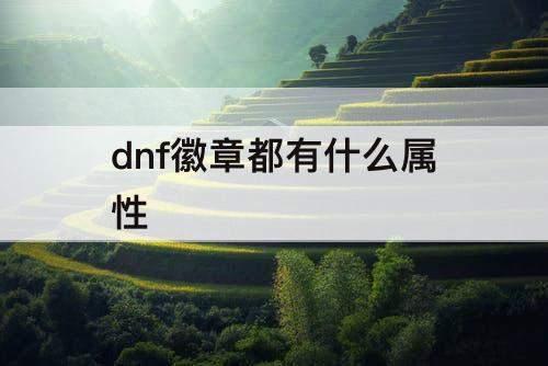 dnf徽章都有什么属性