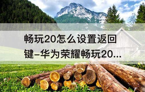 畅玩20怎么设置返回键-华为荣耀畅玩20怎么设置返回键和主键