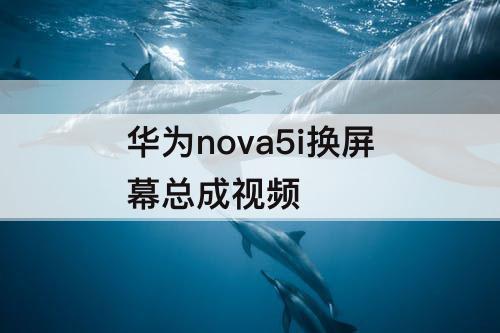 华为nova5i换屏幕总成视频