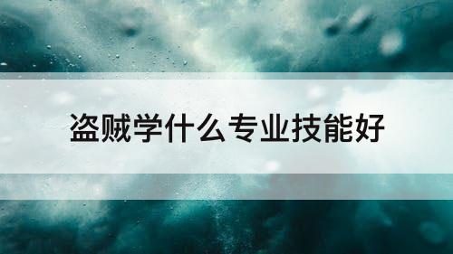 盗贼学什么专业技能好