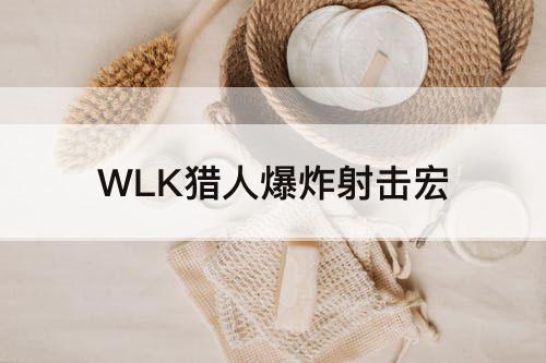 WLK猎人爆炸射击宏