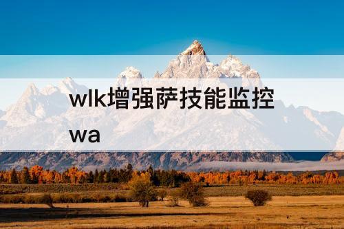 wlk增强萨技能监控wa