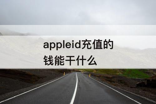 appleid充值的钱能干什么