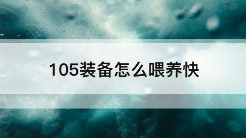 105装备怎么喂养快