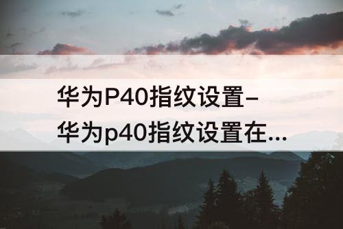 华为P40指纹设置-华为p40指纹设置在哪里开启