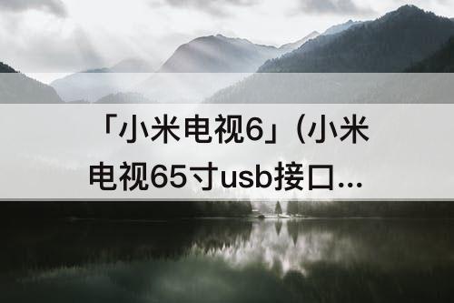 「小米电视6」(小米电视65寸usb接口位置)