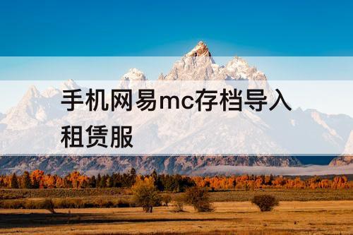 手机网易mc存档导入租赁服