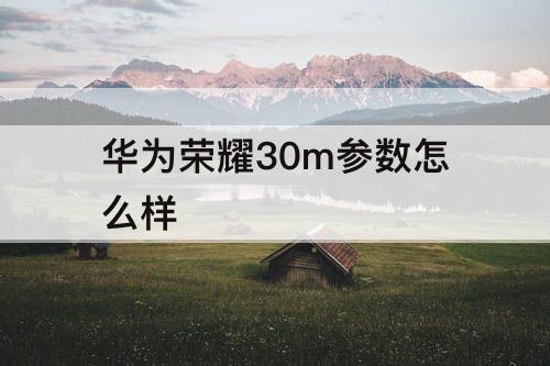 华为荣耀30m参数怎么样