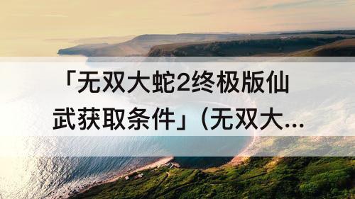 「无双大蛇2终极版仙武获取条件」(无双大蛇2终极版仙武获取条件难度)