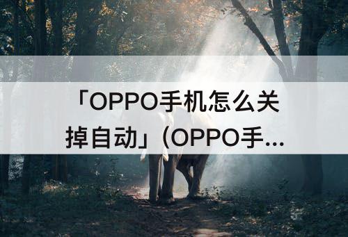 「OPPO手机怎么关掉自动」(OPPO手机怎么关掉自动更新应用)