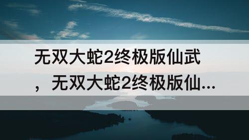 无双大蛇2终极版仙武，无双大蛇2终极版仙武攻略