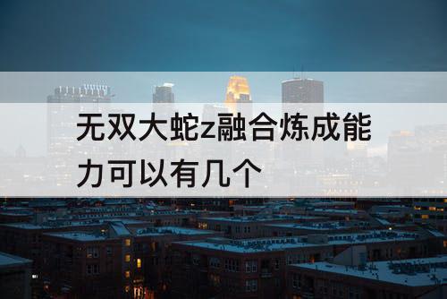 无双大蛇z融合炼成能力可以有几个