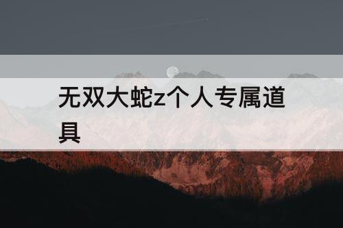 无双大蛇z个人专属道具