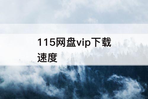 115网盘vip下载速度