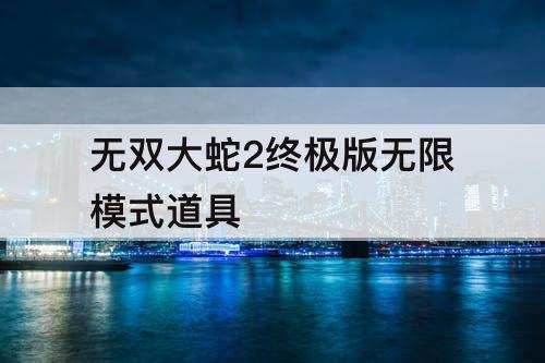 无双大蛇2终极版无限模式道具