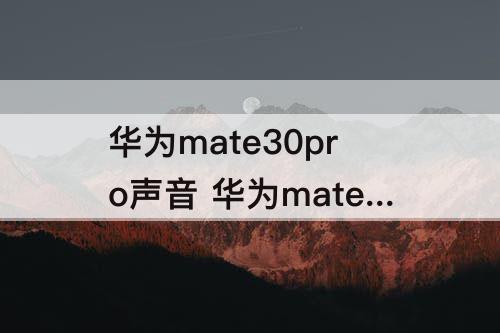 华为mate30pro声音 华为mate30pro声音怎么调节音量