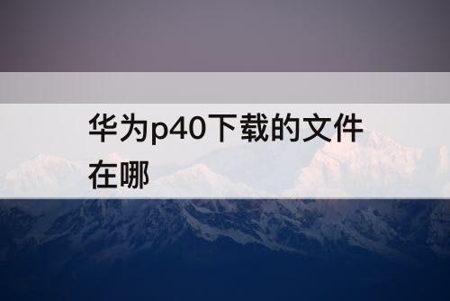 华为p40下载的文件在哪