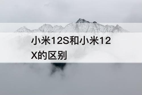 小米12S和小米12X的区别