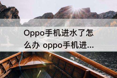 Oppo手机进水了怎么办 oppo手机进水了怎么办把水震出来