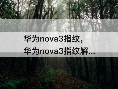 华为nova3指纹，华为nova3指纹解锁设置不见了