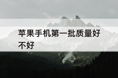 苹果手机第一批质量好不好