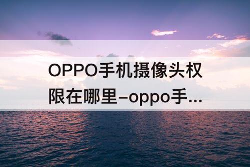 OPPO手机摄像头权限在哪里-oppo手机摄像头权限在哪里设置