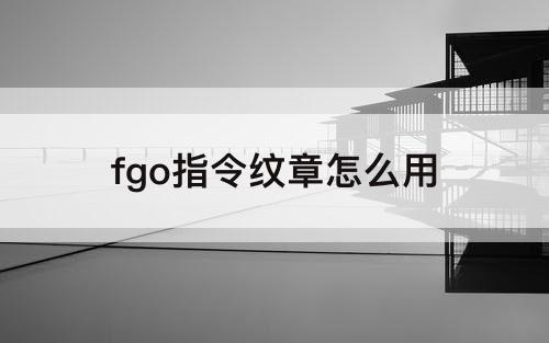 fgo指令纹章怎么用