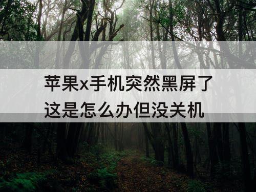 苹果x手机突然黑屏了这是怎么办但没关机