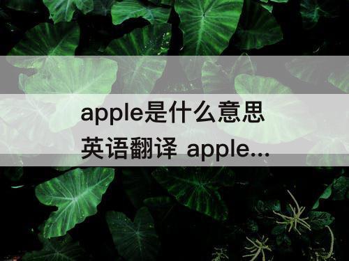 apple是什么意思英语翻译 apple是什么意思英语翻译成中文