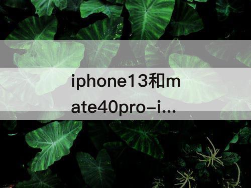 iphone13和mate40pro-iphone13和mate40pro哪个值得买