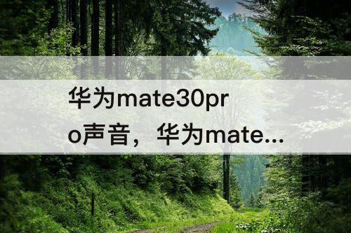 华为mate30pro声音，华为mate30pro声音小有杂音